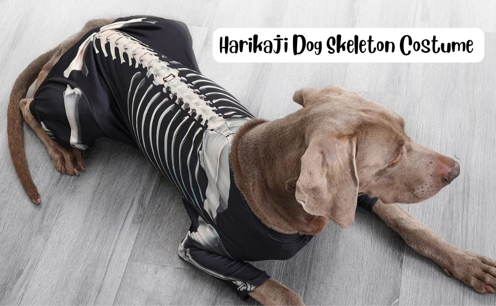 Halloween Dog Skeleton Costumes Cosplay Party Sweater Pet Clothes 4Leg Sweatshirt For Medium Large Dog French Bulldog Dress Up