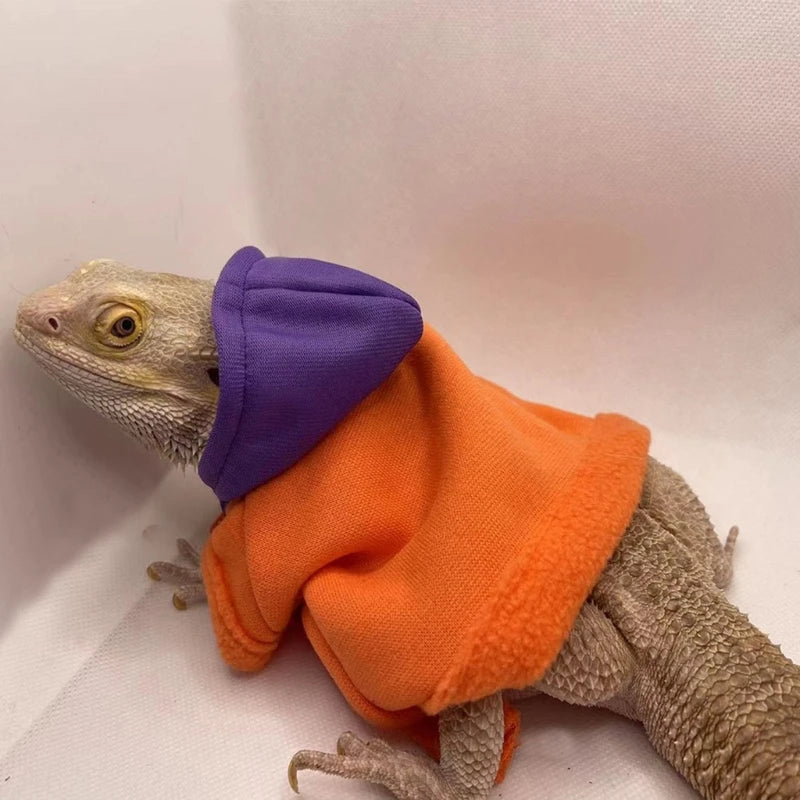Bearded Dragon Clothes Costume Hand-made Coat Hoodie Jackets for Small Animal