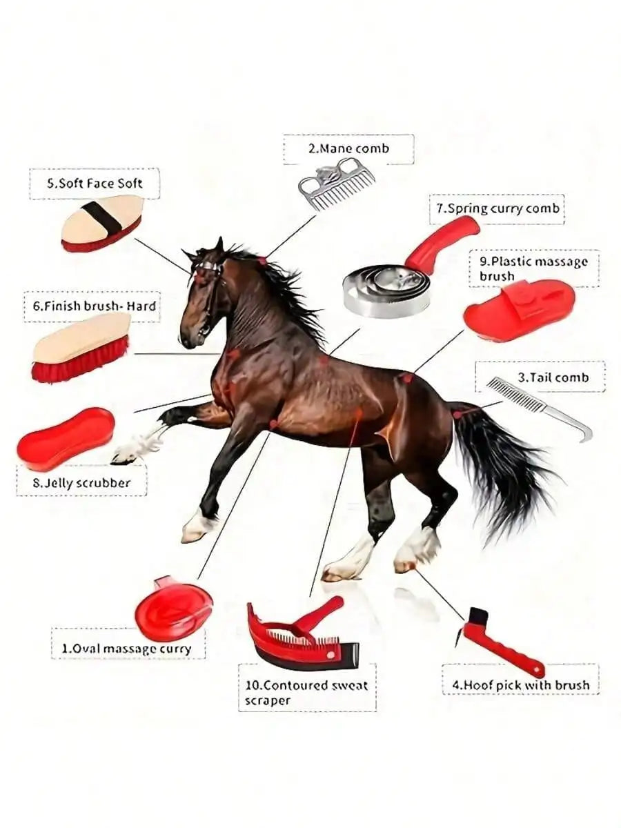 Horse Grooming Kit 10-Piece, Professional Horse Brush Set Including Curry Comb, Body Brush, Hoof Pick, Sweat Scraper – Essential