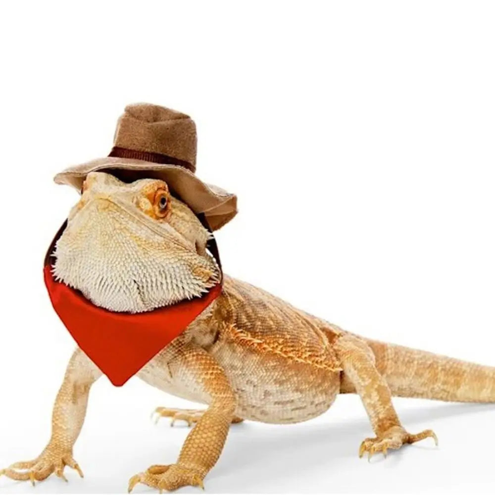 Fashion Decorative Bearded Dragon Hat Removable Adjustable Reptile Cowboy Hat Lizard Bib Lizard Hat for Lizard Gecko