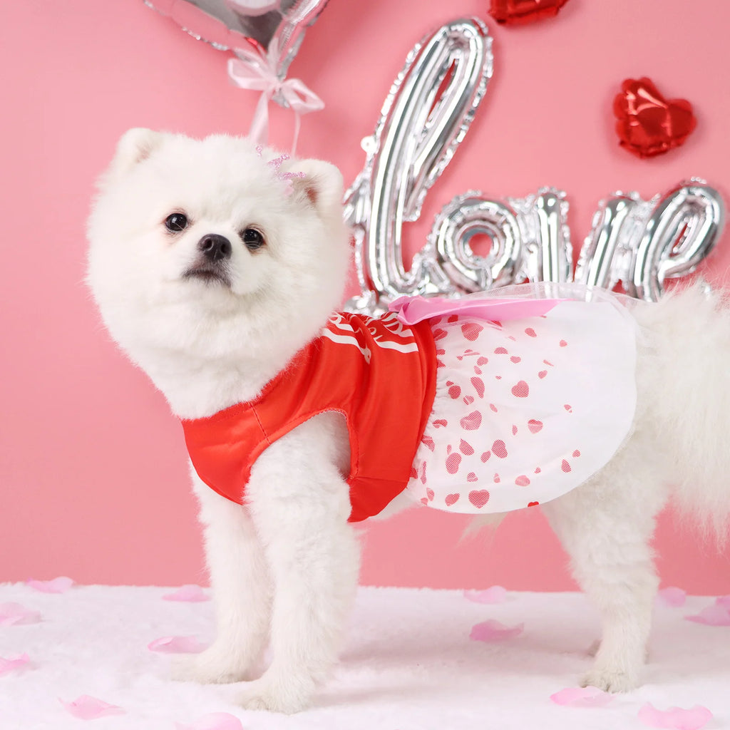 Valentine's Day Pet Dress, Red Top “Loads of Love”, Cute Puppy Skirt with Heart Prints, Bow - tied Doggie Outfit Clothes Apparel