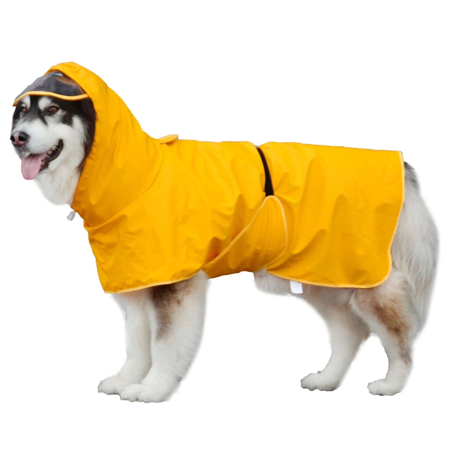 Dog Raincoat