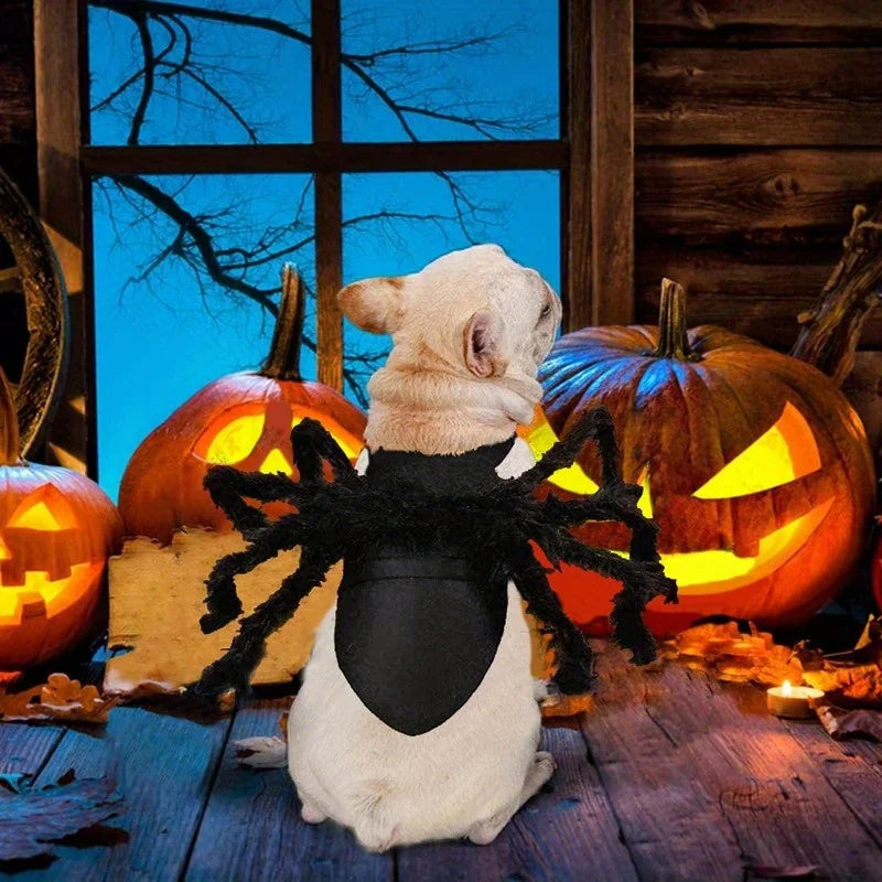 Halloween spider costume, dog and cat costume, role-playing costume, suitable for small dogs and cats, dress up accessories