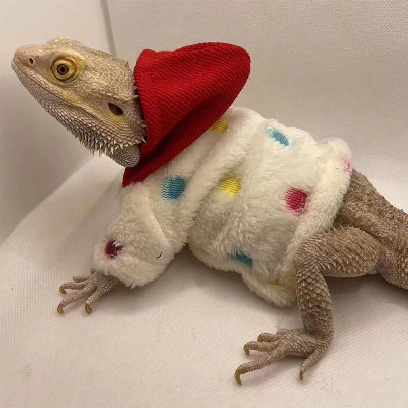 Bearded Dragon Clothes Costume Hand-made Coat Hoodie Jackets for Small Animal
