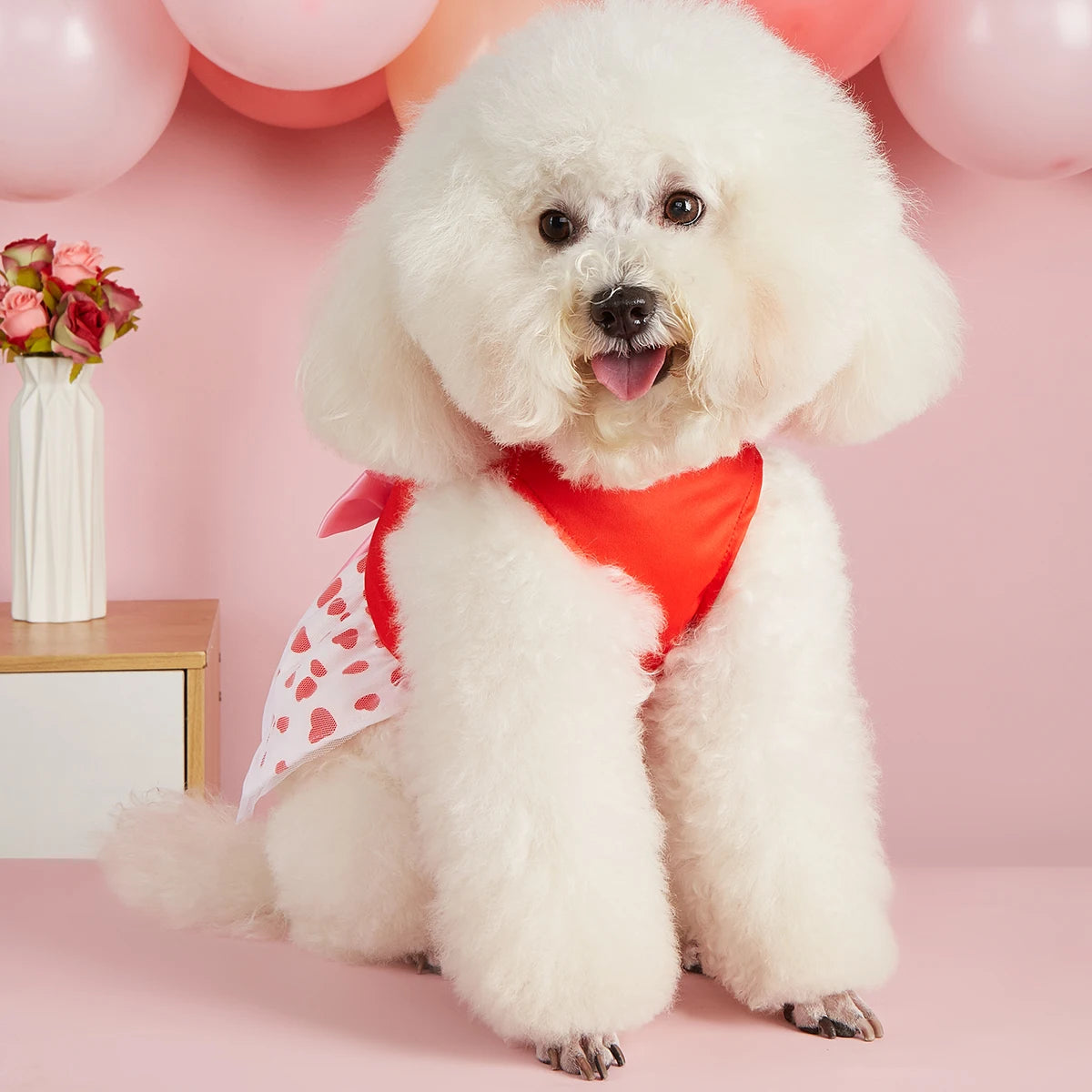 Valentine's Day Pet Dress, Red Top “Loads of Love”, Cute Puppy Skirt with Heart Prints, Bow - tied Doggie Outfit Clothes Apparel