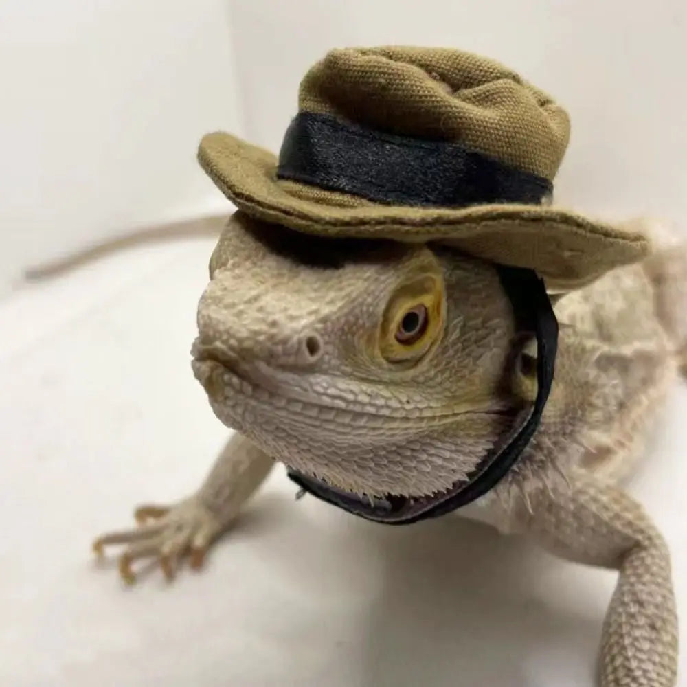 Fashion Decorative Bearded Dragon Hat Removable Adjustable Reptile Cowboy Hat Lizard Bib Lizard Hat for Lizard Gecko