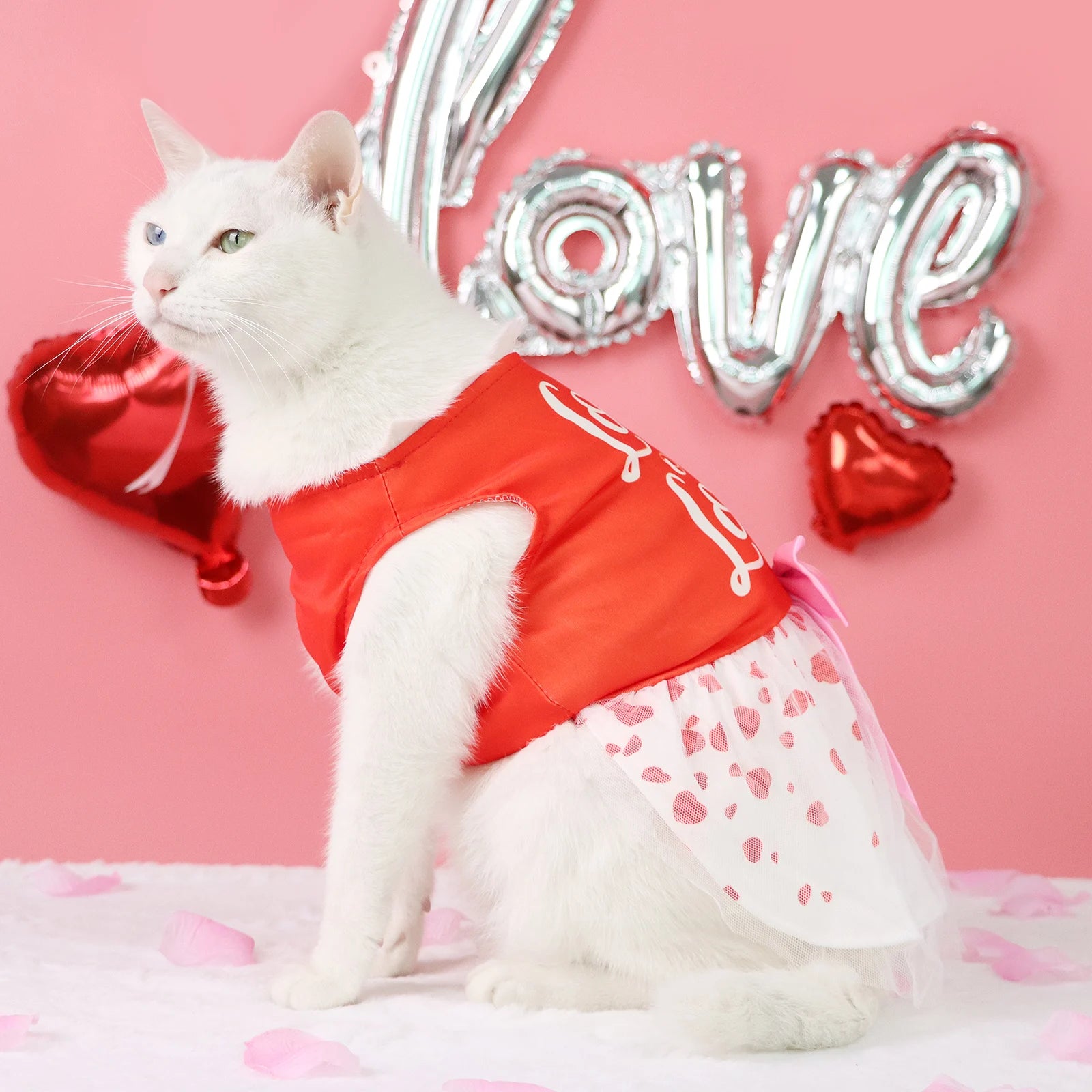 Valentine's Day Pet Dress, Red Top “Loads of Love”, Cute Puppy Skirt with Heart Prints, Bow - tied Doggie Outfit Clothes Apparel