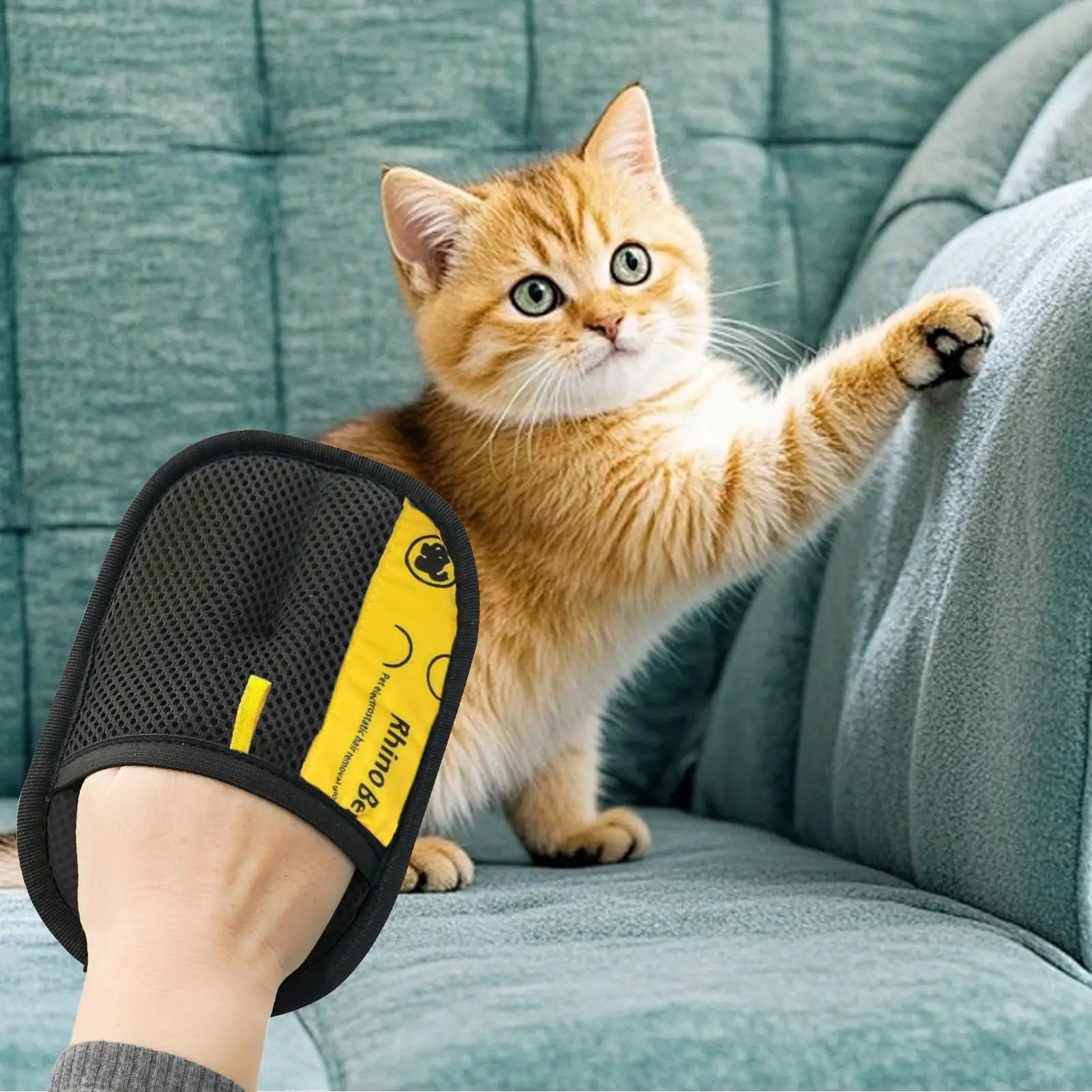 Grooming Gloves For Dogs & Cats