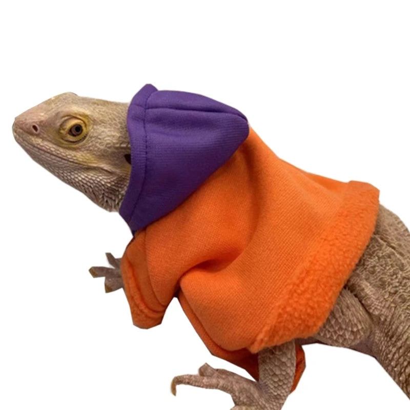 Bearded Dragon Hoodie