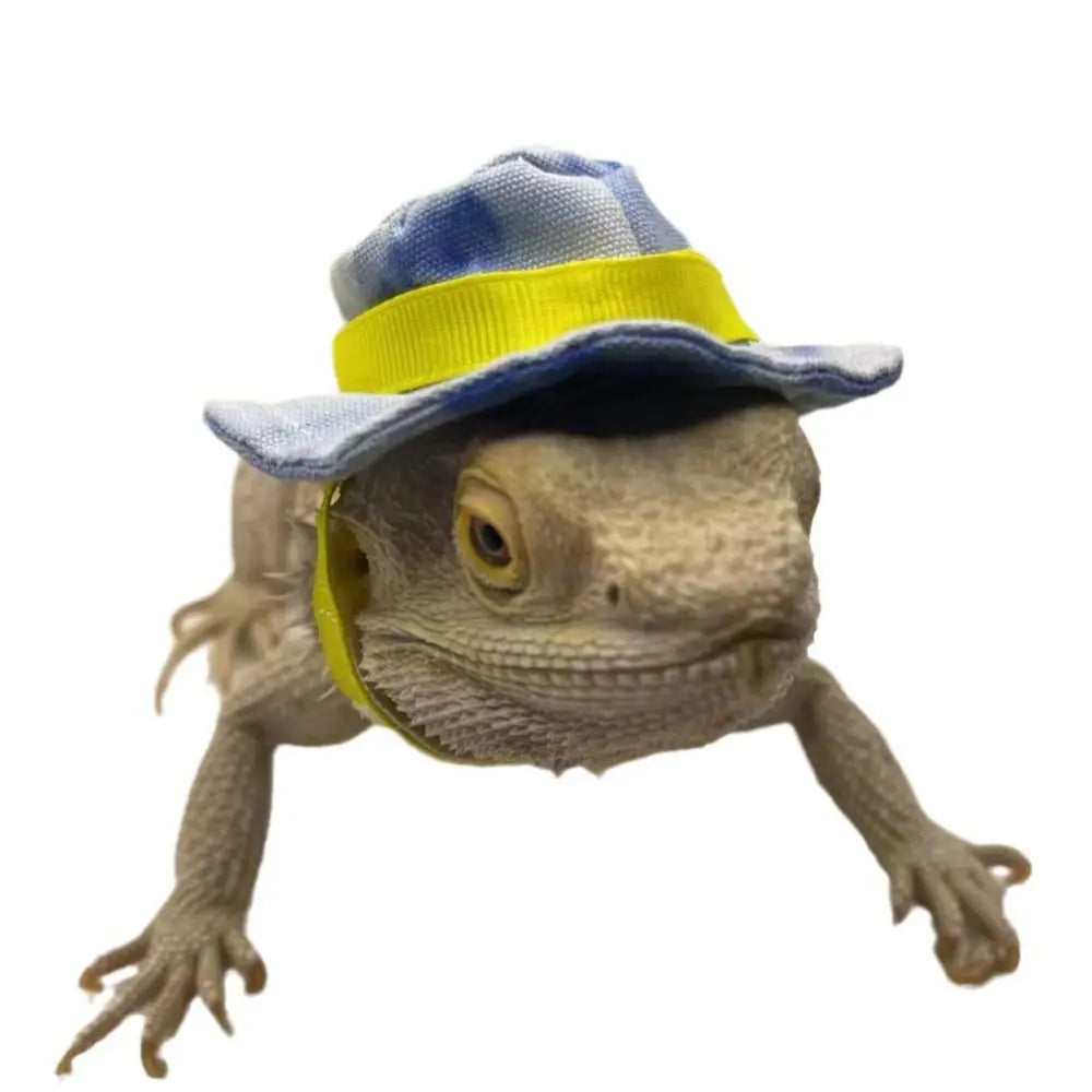 Fashion Decorative Bearded Dragon Hat Removable Adjustable Reptile Cowboy Hat Lizard Bib Lizard Hat for Lizard Gecko