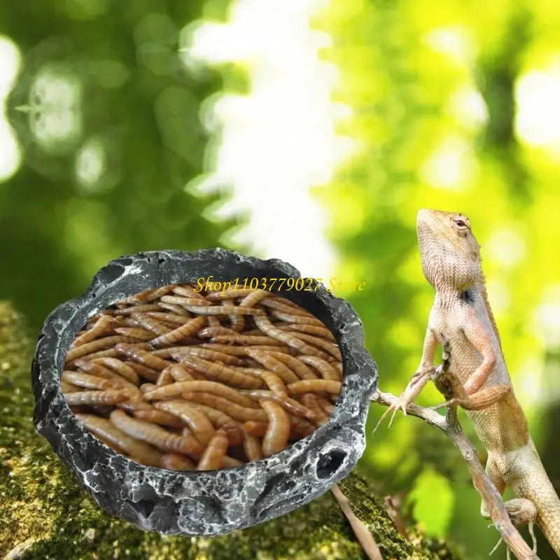 C4DF Water Dish Round Bowl Resin Feeding Bowls for Bearded Dragon for Tu