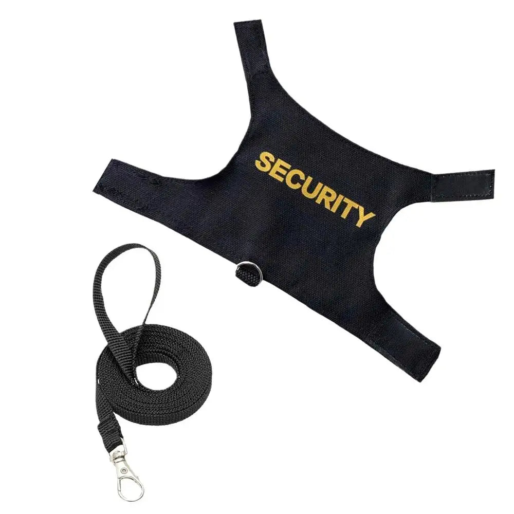 Reptile Lizard Gecko Bearded Dragon Harness and Leash Comfortable Bearded Dragon Clothes for Outdoor Pet Chameleon Supplies
