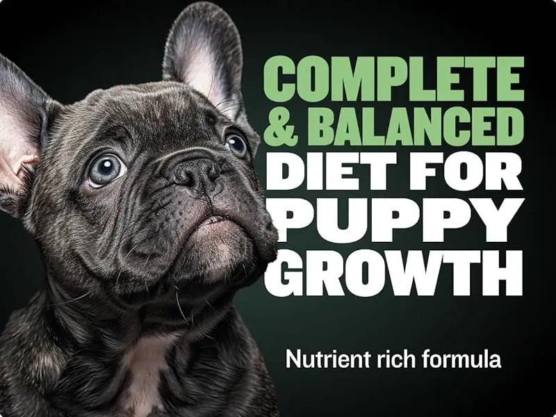 DOG BULLY MAX GROWTH  Promotes Strong Muscle And Overall Health 120g