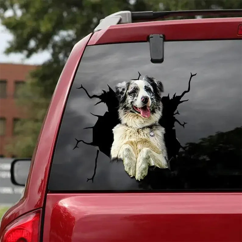 Australian Shepherd Car Sticker