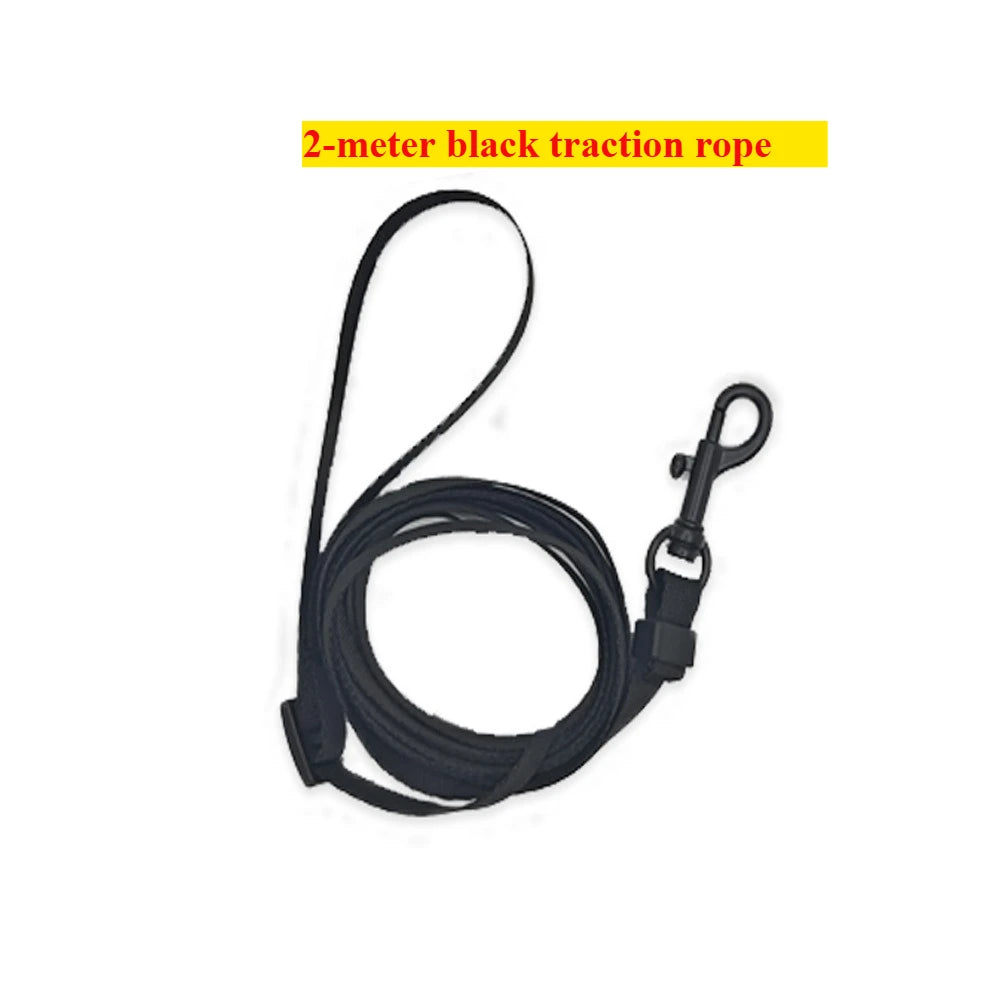 Bearded Dragon Harness and Leash Set, 3 Size Adjustable Soft Leather Reptile Leash, Lizard Harness with Retractable