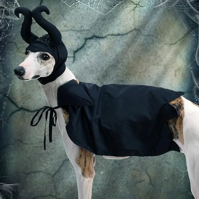 Halloween Pet Costume Hooded Cloak for Dogs Cats, Maleficent Adjustable Velvet Cape
