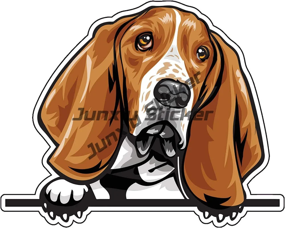Sweet Basset Hound Sticker