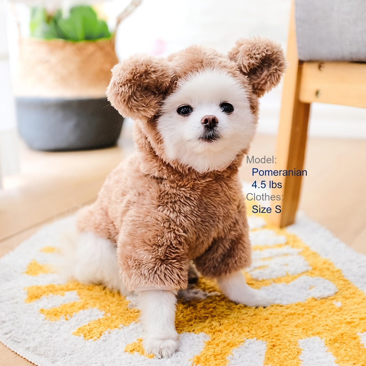 Dog & Cat Pet Costumes