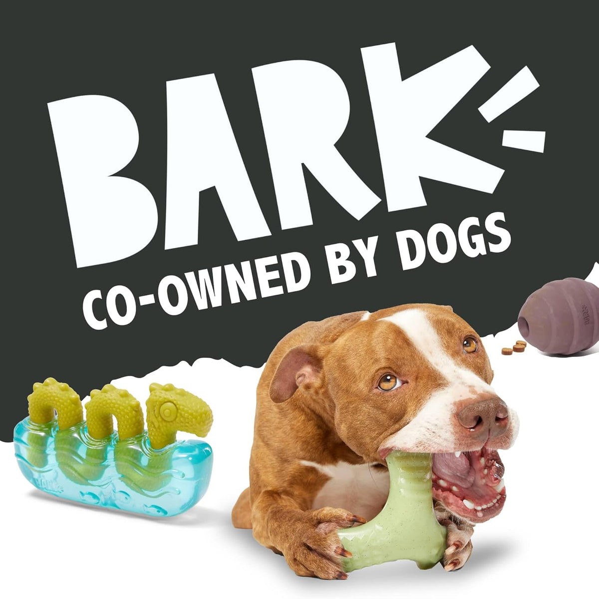 Bear Hugger Super Chewer - 2-in-1 - Toy for Large Dogs