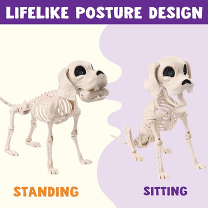 Posable Halloween Dog Skeleton Full Body Posable Joints Realistic Skeleton Puppy with Movable Joints for Halloween Decoration, Graveyard Party Decor (9.8” X 4.7” X 12.6”)