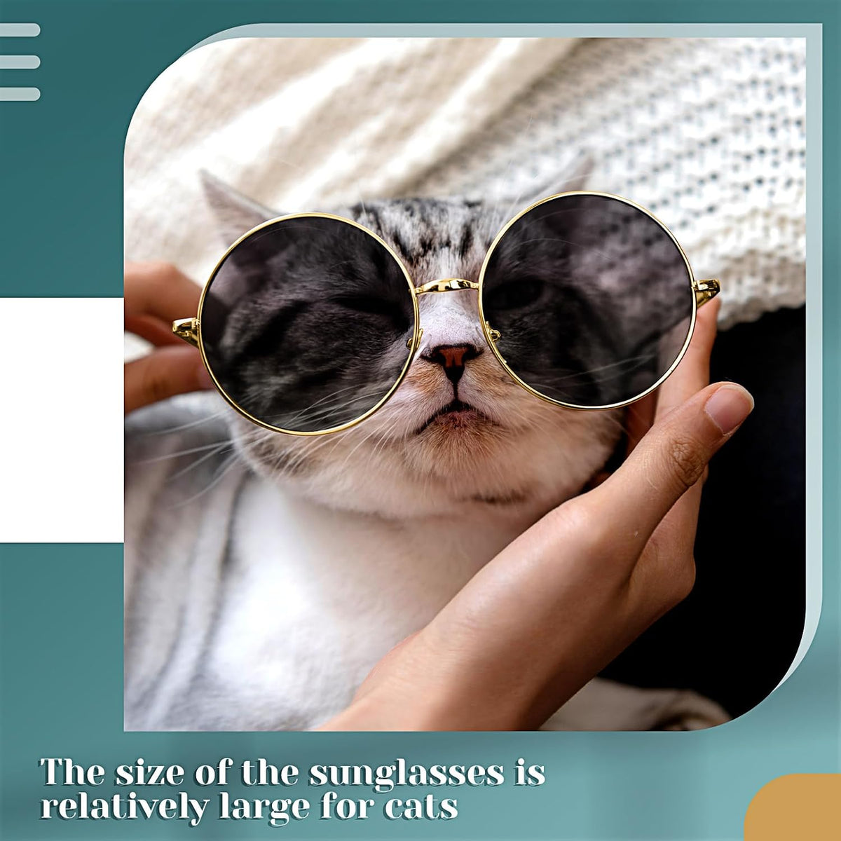 Dog Sunglasses for Small Dog Halloween, Modern Style, Gold, Black