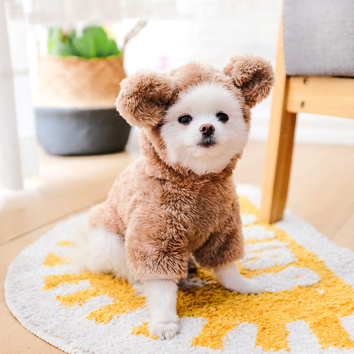 Dog & Cat Pet Costumes