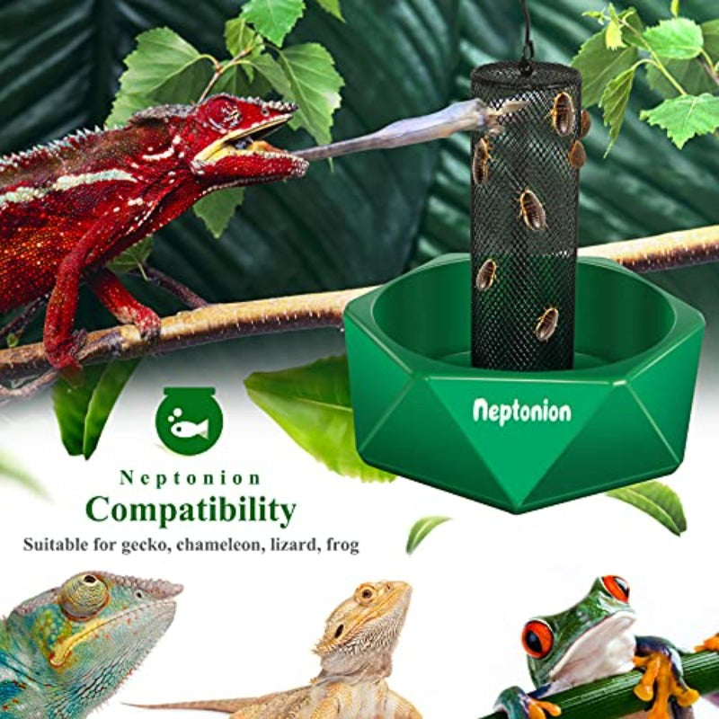 Professional Reptile Feeding Bowl with Hanging Chain & Worm Organizer Column - Heavy-Duty -Escape Bearded Dragon/Iguana/Gecko/Lizard/Toad/Frog Dish, Sturdy Base & Feeding Tongs/Luminous Tweezers Included ( Cage Compatible)
