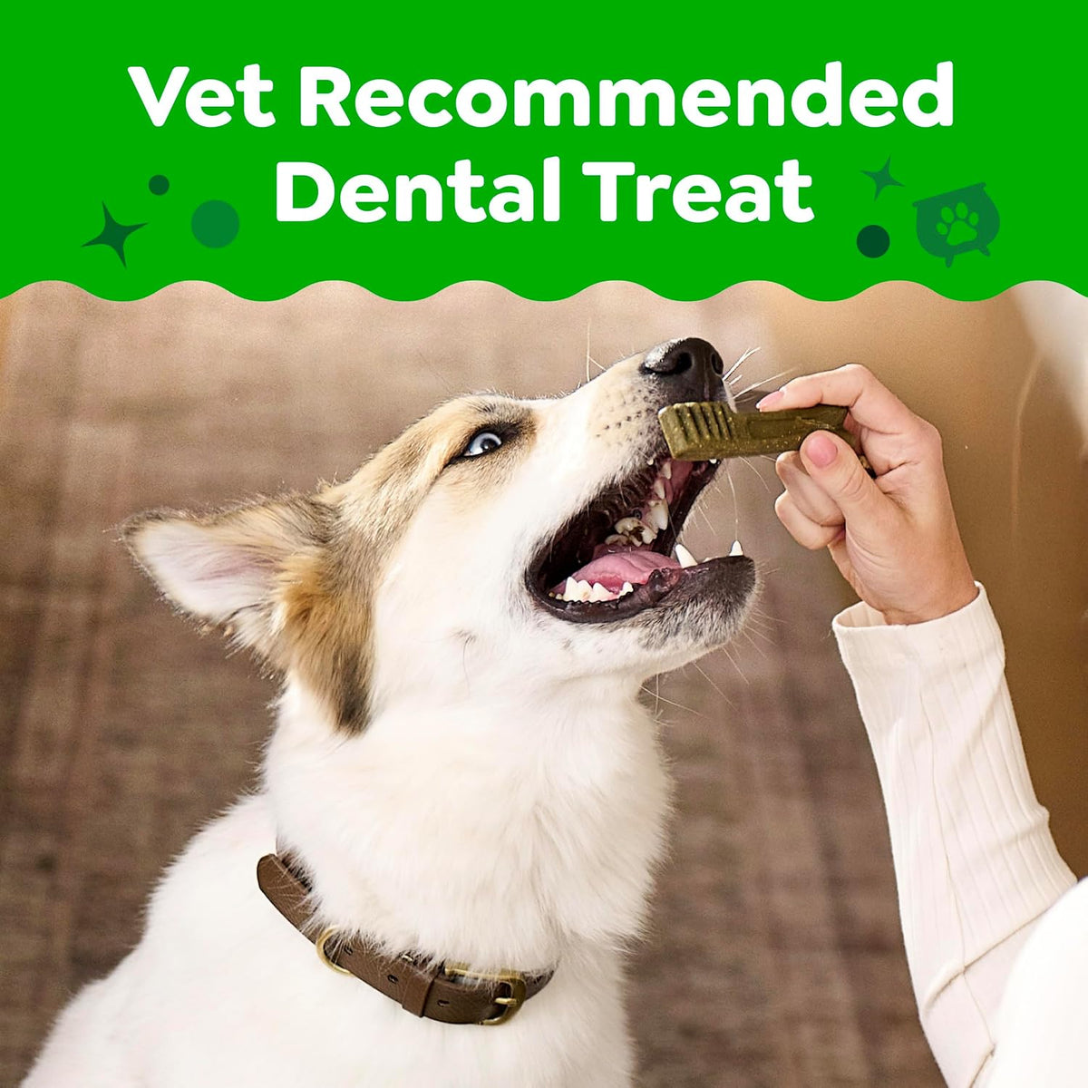 Regular Natural Dental Dog Treats, Pumpkin Spice Flavor, 12 Count