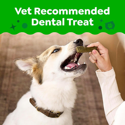 Regular Natural Dental Dog Treats, Pumpkin Spice Flavor, 12 Count
