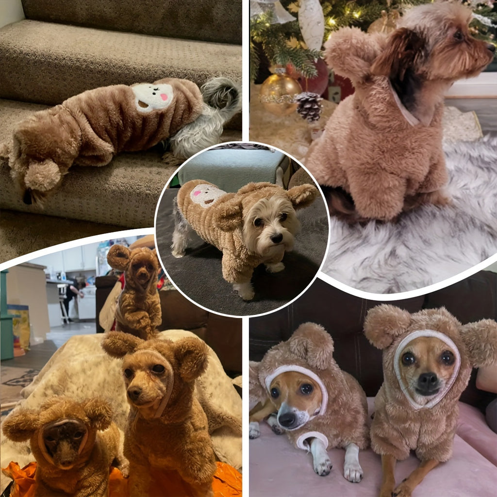 Dog & Cat Pet Costumes