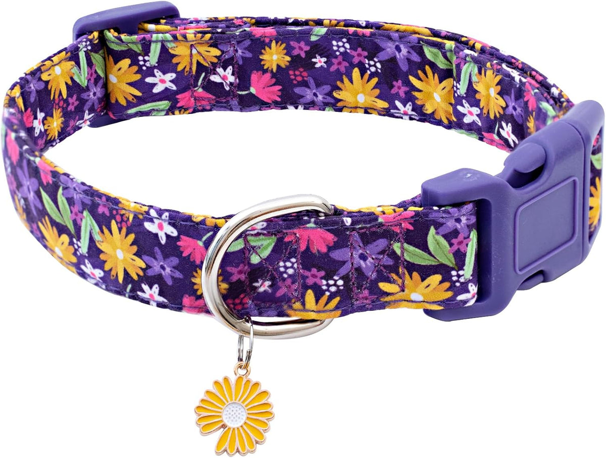 Pink Halloween Dog Collar for Small Medium Large Dogs M