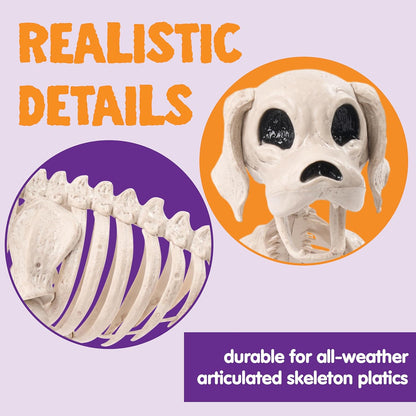 Posable Halloween Dog Skeleton Full Body Posable Joints Realistic Skeleton Puppy with Movable Joints for Halloween Decoration, Graveyard Party Decor (9.8” X 4.7” X 12.6”)