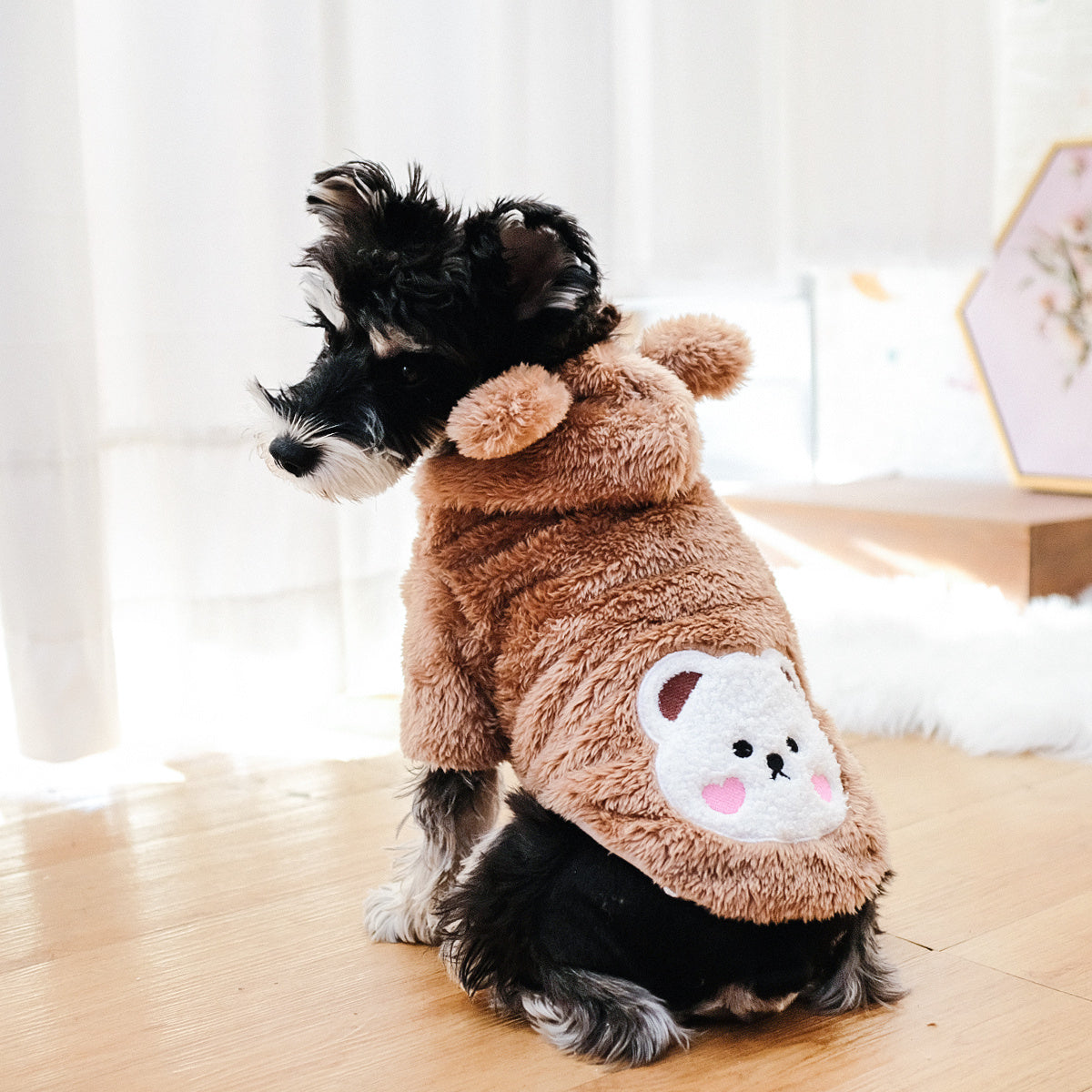 Dog & Cat Pet Costumes