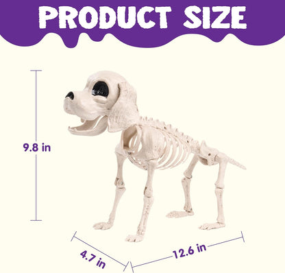 Posable Halloween Dog Skeleton Full Body Posable Joints Realistic Skeleton Puppy with Movable Joints for Halloween Decoration, Graveyard Party Decor (9.8” X 4.7” X 12.6”)