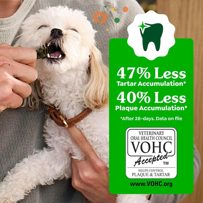 Regular Natural Dental Dog Treats, Pumpkin Spice Flavor, 12 Count
