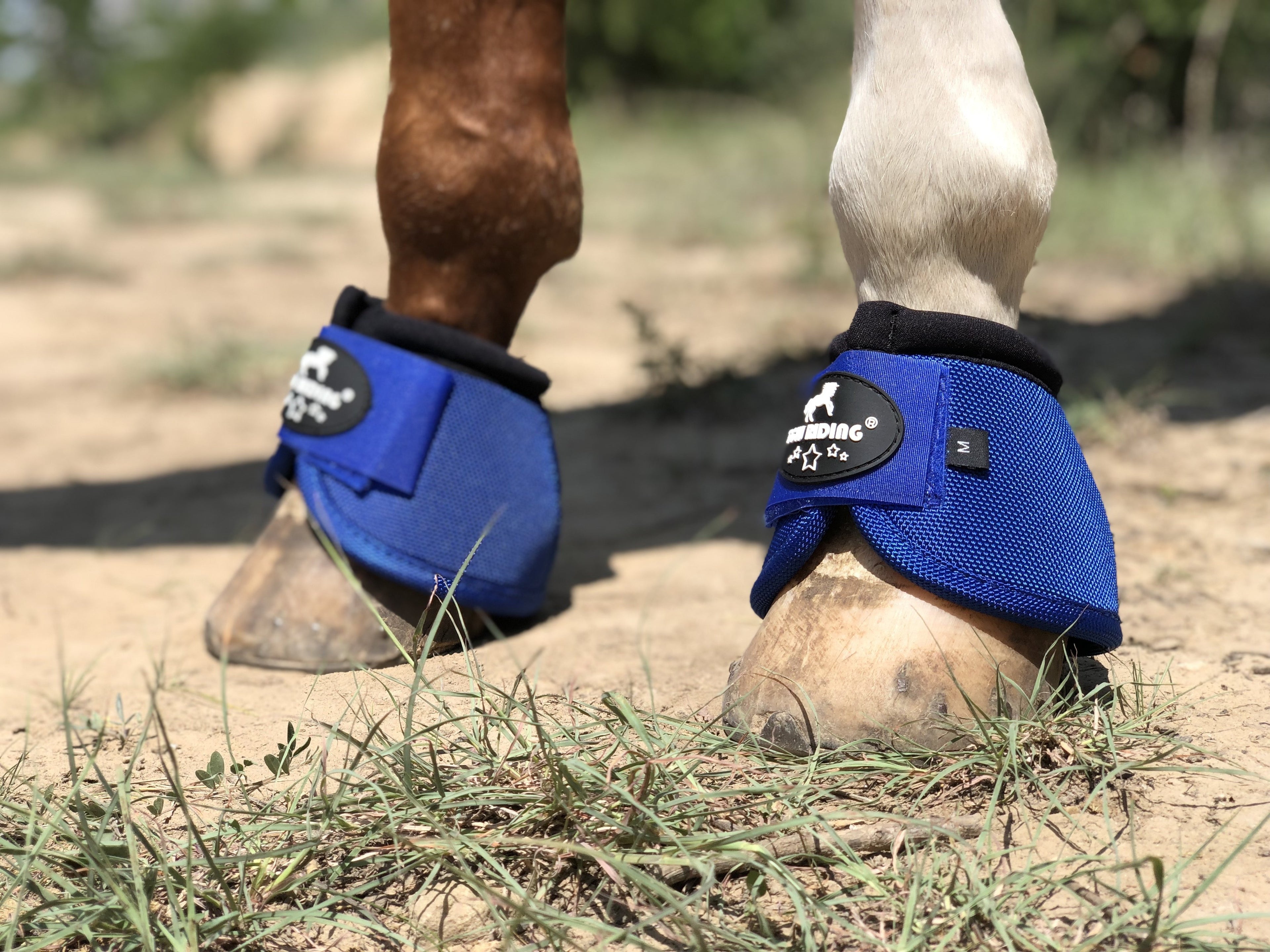 Horse Bell Boots, No Turn Horse Bell Boots