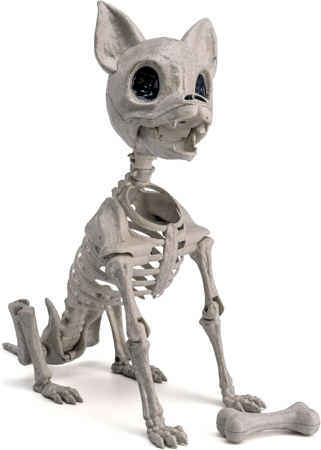 Posable Halloween Dog Skeleton Full Body Posable Joints Realistic Skeleton Puppy with Movable Joints for Halloween Decoration, Graveyard Party Decor (9.8” X 4.7” X 12.6”)