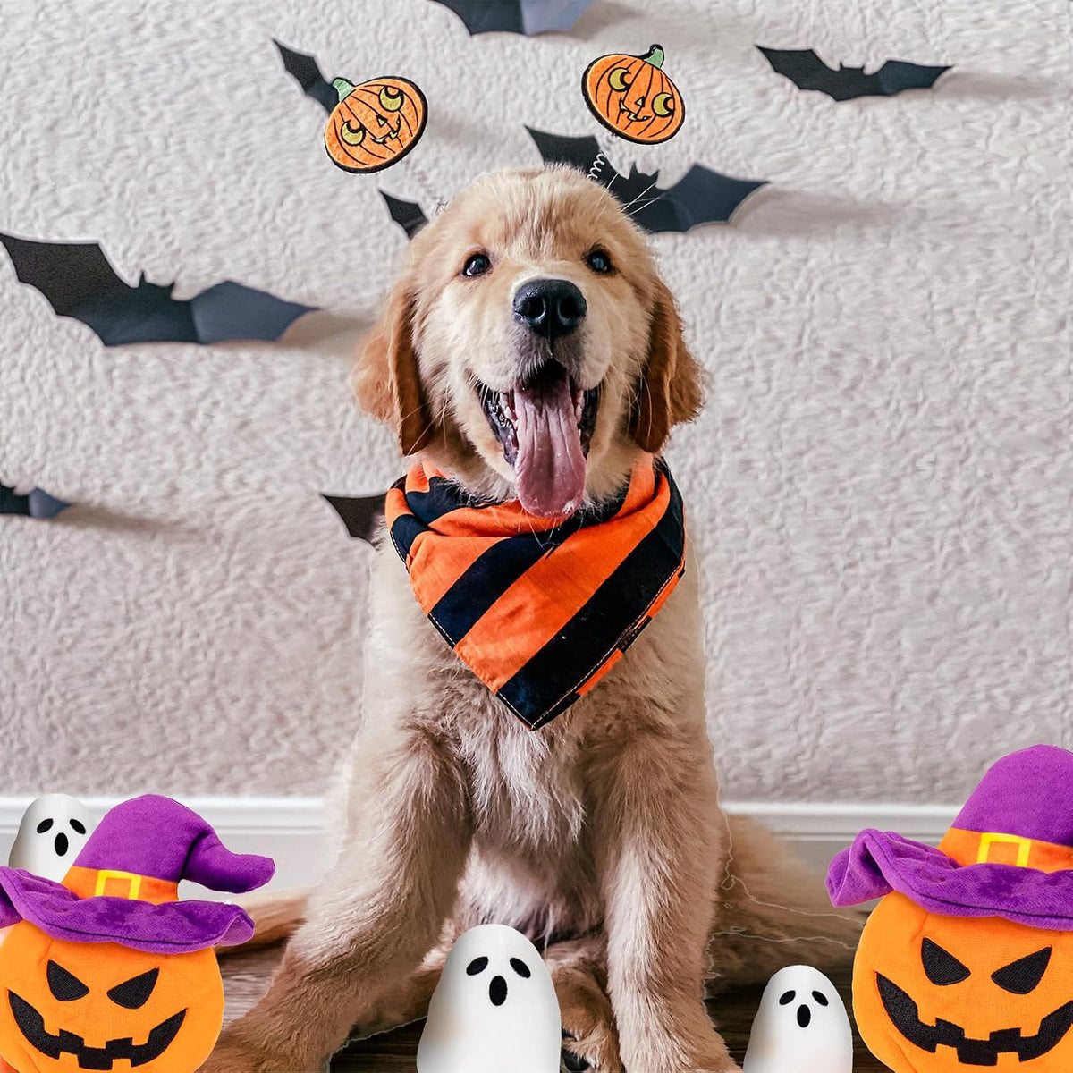 Halloween Dog Toys, Pumpkin Ghost Hide & Seek Squeaky Toy