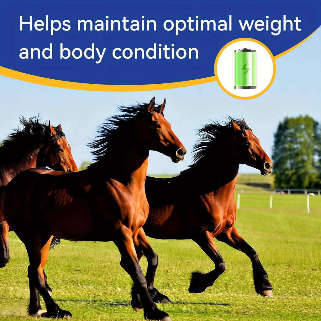 Horse Weight Accelerator, Equine Supplements - Immune And Physical Performance Support Supplements For Horses