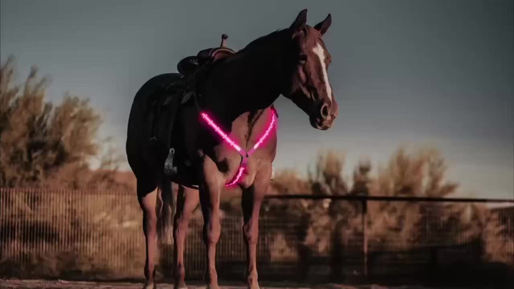 [Equestrian Safety LED Strap] 1 LED Luminous Adjustable Horse Chest Strap | Equestrian Safety Equipment, Sports Supplies, Pink, Yellow