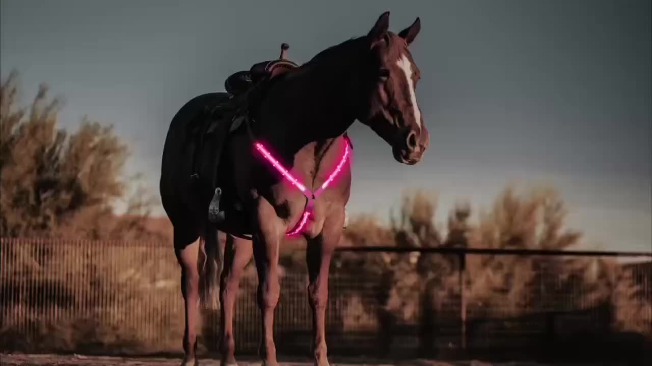 [Equestrian Safety LED Strap] 1 LED Luminous Adjustable Horse Chest Strap | Equestrian Safety Equipment, Sports Supplies, Pink, Yellow