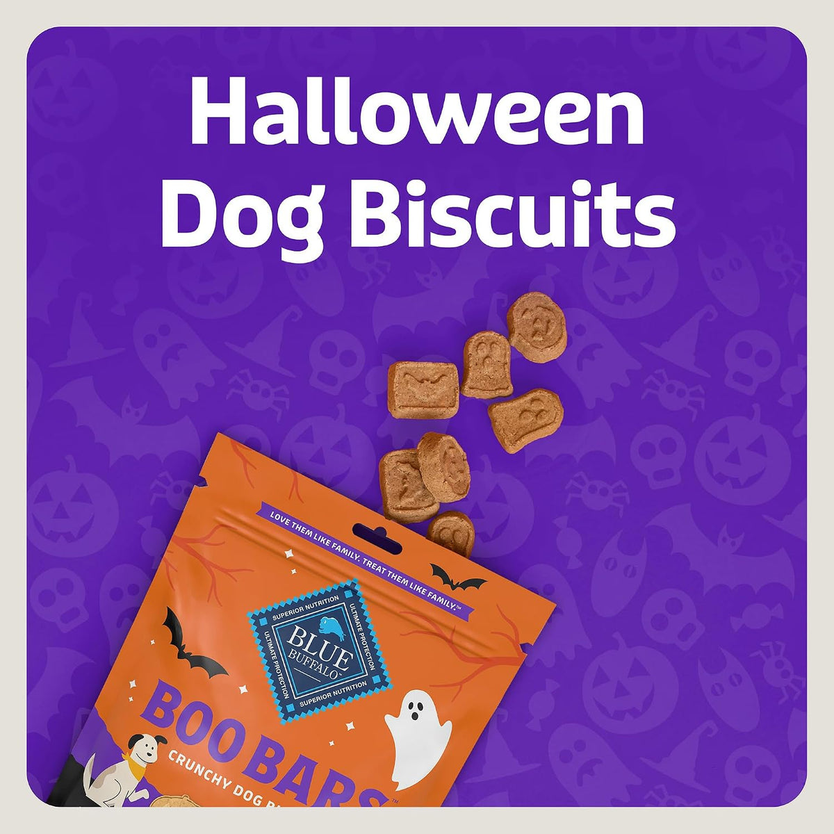 Boo Bars Pumpkin & Cinnamon Dog Biscuits, 11 oz