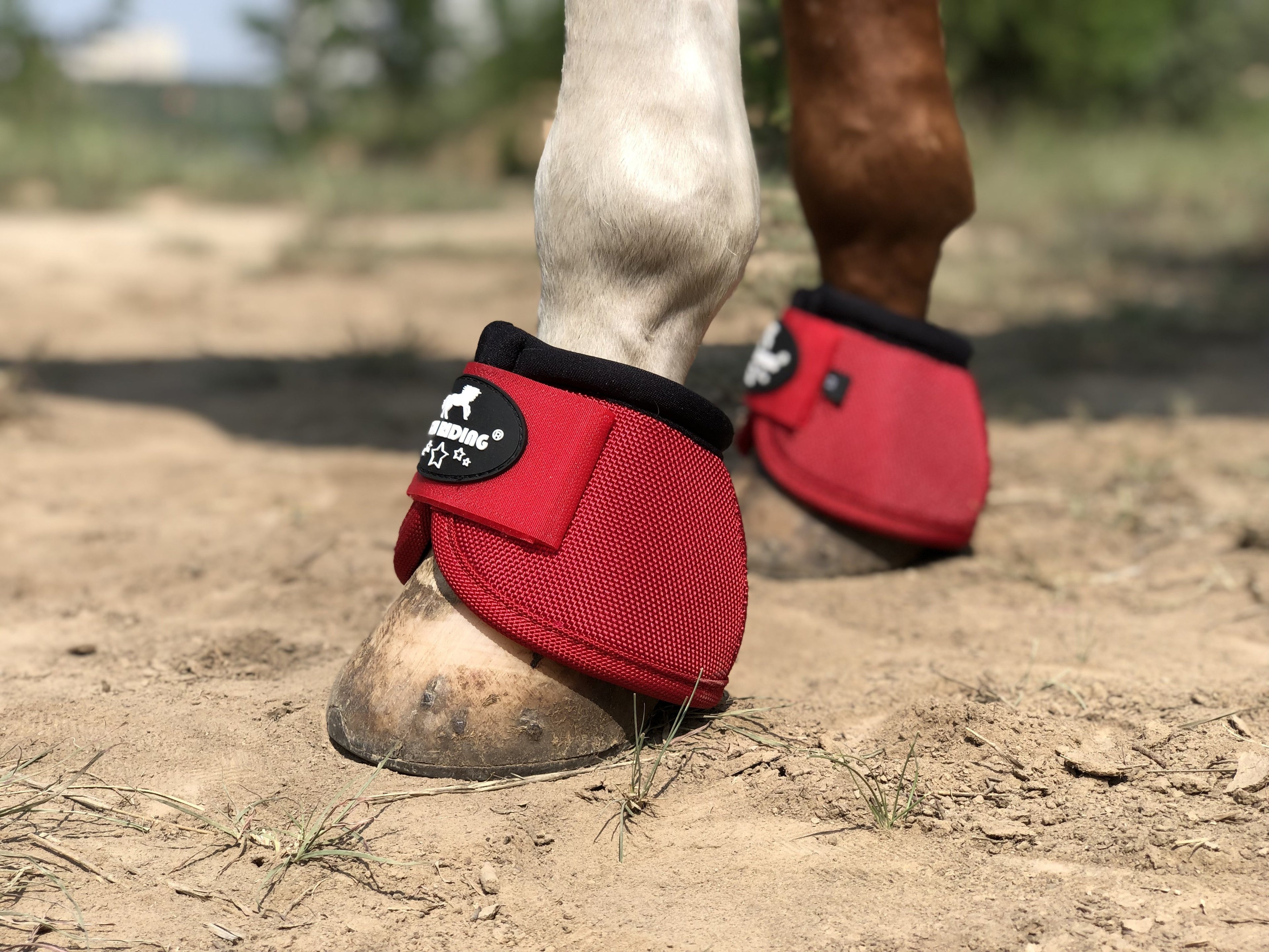 Horse Bell Boots, No Turn Horse Bell Boots