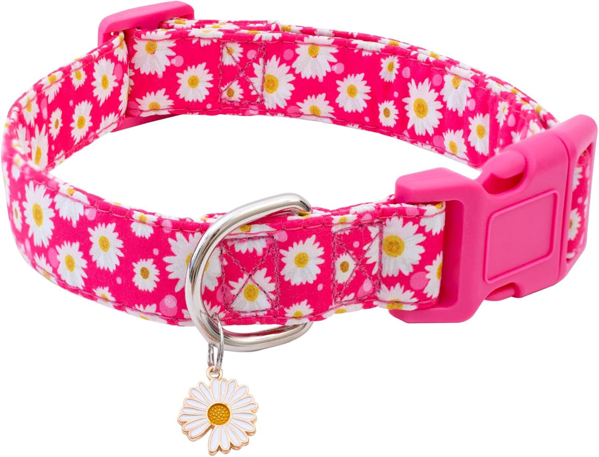 Pink Halloween Dog Collar for Small Medium Large Dogs M